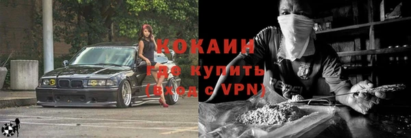 гидра Краснослободск