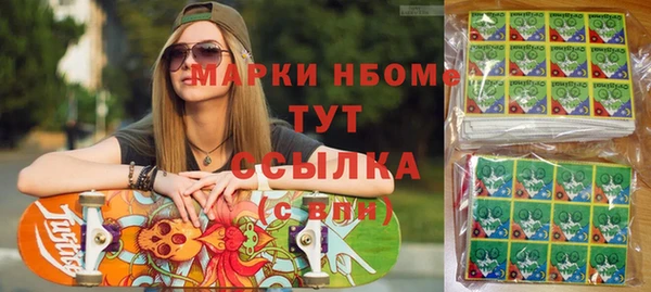гидра Краснослободск