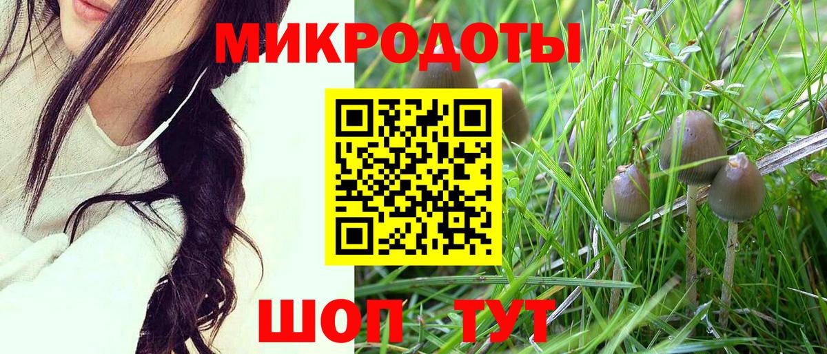Галлюциногенные грибы мицелий  Галлюциногенные грибы Cubensis  Вход с VPN  Кызыл 